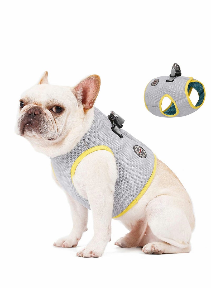 حزام الكلب، سترة تبريد الكلب، سترة تبريد قابلة للتنفس للحيوانات الأليفة للتدريب الخارجي والمشي والتسلق، سترة تبريد صيفية للكلاب الصغيرة والمتوسطة، شبكية قابلة للتعديل للتدريب الخارجي والمشي (م) - Image 1